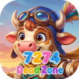 Programikonen: 7274DeadZone