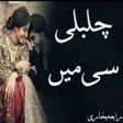 Ikon program: Chulbuli Si Main - Urdu N…