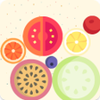 أيقونة البرنامج: Watermelon Game