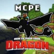 HTTYD Addon for MCPE