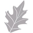 Grey Oaks Country Club icon