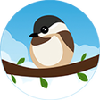프로그램 아이콘: Chickadeasy