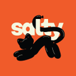Programın simgesi: SALTY