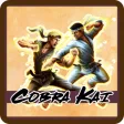 Cobra Kai GAME