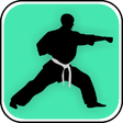 程序图标：Learn Kung Fu Techniques