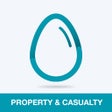 程序图标：Property And Casualty Tes…
