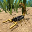 Ícone do programa: Life Of Scorpion