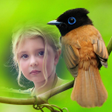 Icon of program: Birds Photo Frames