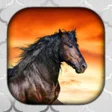 Horse Wallpaper Live HD3D4K
