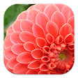 Иконка программы: Photography Tutorials