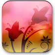 Icono de programa: Backgrounds HD Wallpapers
