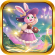 プログラムのアイコン：Rabbit Burow Japots