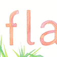 Ícone do programa: Flamingo