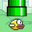 أيقونة البرنامج: Crushy Bird SHB Games