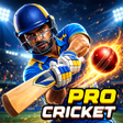 Programikonen: Pro Cricket 3D Bat Ball L…