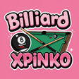 プログラムのアイコン：Billiard Xplinko