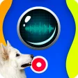 Dog Speaker