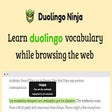 Duolingo Ninja