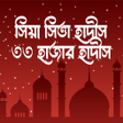 Ikon program: ৩৩ হজর হদস - সয সততহ