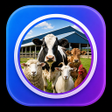 프로그램 아이콘: Farming Valley: LiveStock…