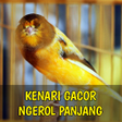 プログラムのアイコン：Kenari Gacor Ngerol Panja…