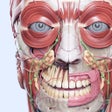 Иконка программы: VOKA 3D Human Anatomy AR …