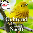 程序图标：Dutch Good Morning to Nig…