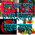 Icon of program: ফুল ফল পশু পাখি শাক- সবজি…