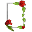 Floral photo Frames