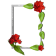 Icon of program: Floral photo Frames
