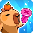 프로그램 아이콘: Screw Master: Capybara Pu…