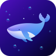 أيقونة البرنامج: Dolphin VPN-Fast  Stable