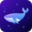 Dolphin VPN-Fast  Stable
