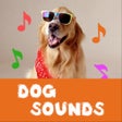 プログラムのアイコン：Dog Sounds - Breed Attent…