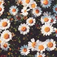 Icon of program: Daisy Wallpapers