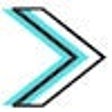 Ikona programu: SEO AUDIT