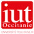 程序图标：IUT Paul Sabatier Chrome …
