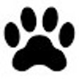 ไอคอนของโปรแกรม: Can Dogs Eat ____?