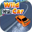 Wild Car Race