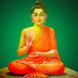 أيقونة البرنامج: Buddha and his Dhamma in …