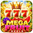 程序图标：Mega Fruit Reels