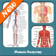 Human Anatomy icon