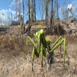 Icon of program: Mojave Mantises