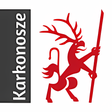 プログラムのアイコン：Karkonosze