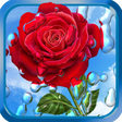 Icon of program: Summer Rain, Flowers, HD …