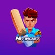 Иконка программы: Hitwicket Cricket Superst…
