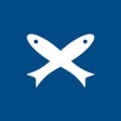 Icon of program: Hering - O Básico do Bras…