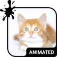 Kitty Cat Animated Keyboard + Live Wallpaper