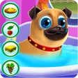 Icon of program: My little Pug Care and P…