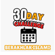Icono de programa: MiRC - Ramadhan Challenge